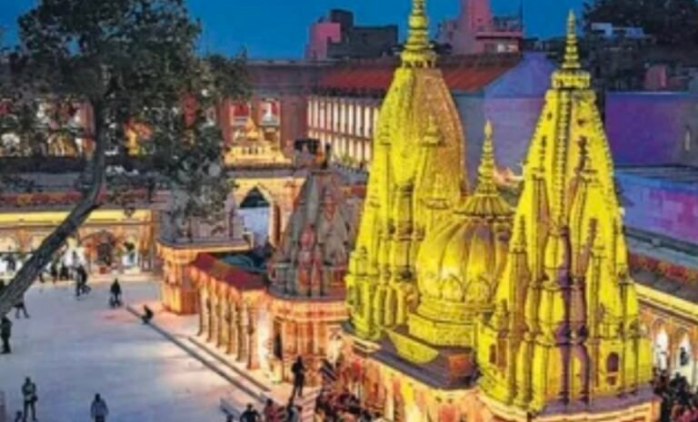 वीआईपी दर्शन तीन दिनों के लिए रुका