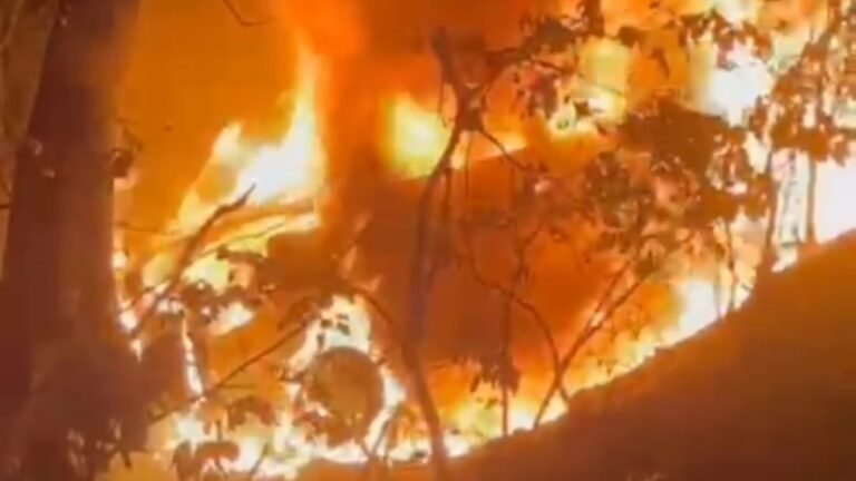 शार्ट सर्किट से चलती कार में लगी आग पति-पत्नी ने कूदकर बचाई जान