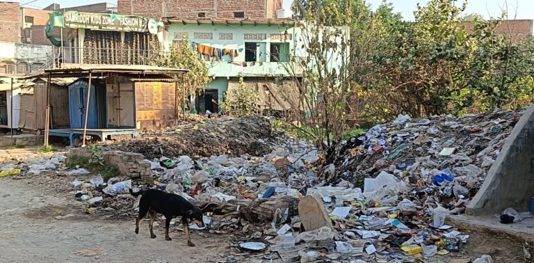 सड़कों पर गंदगी का अंबार है फिर भी नहीं हो रहा निवारण
