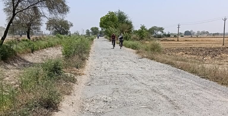 सकलडीहा से अमावल मार्ग दो पहिया वाहन से चलना हुआ दूभर