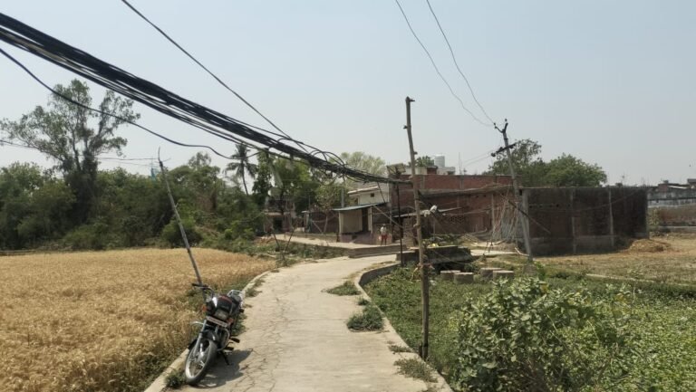 सकलडीहा में बांस-बल्ली के सहारे हो रही बिजलीं आपूर्ति से खतरा