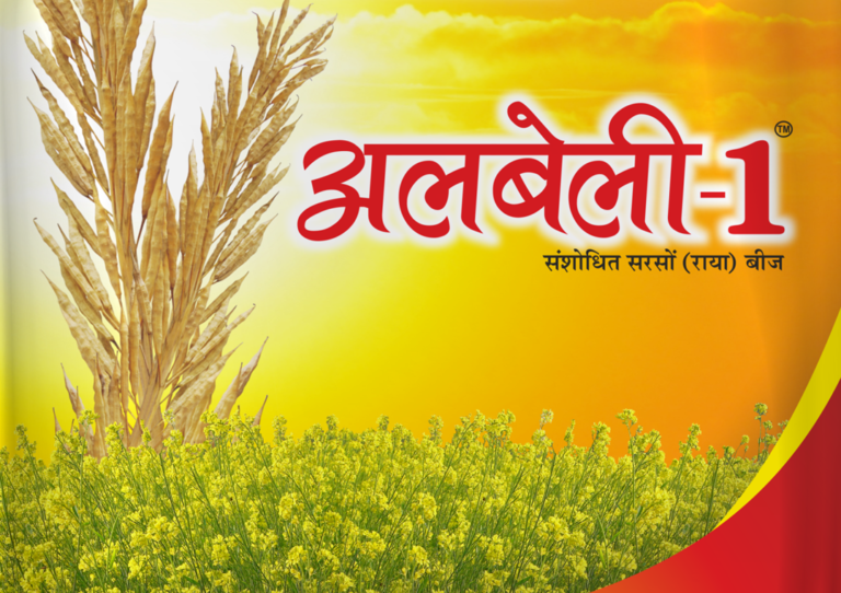सकलडीहा बीज गोदाम पर पहुंचीं धान की बीज, किसानों में होगा वितरण