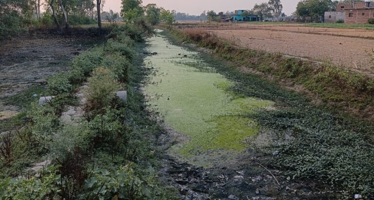 अधिकारियों की आश्वासन के बाद भी ड्रेन की नही हुई साफ सफाई