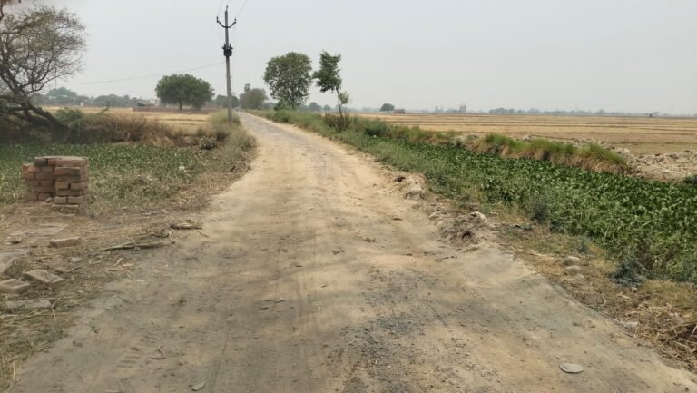 रतनपुरा से चतुर्भुजपुर क्षतिग्रस्त मार्ग वर्षो से जर्जर,आवागमन में परेशानी