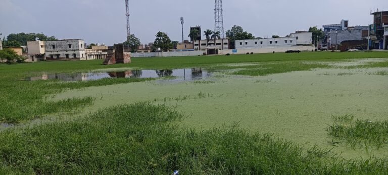 सकलडीहा इंटर कॉलेज का खेल मैदान महीनों से जलमग्न