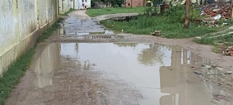 कॉलेज रोड से लेकर कस्बा में जलभरॉव से राहगीरों को परेशानी