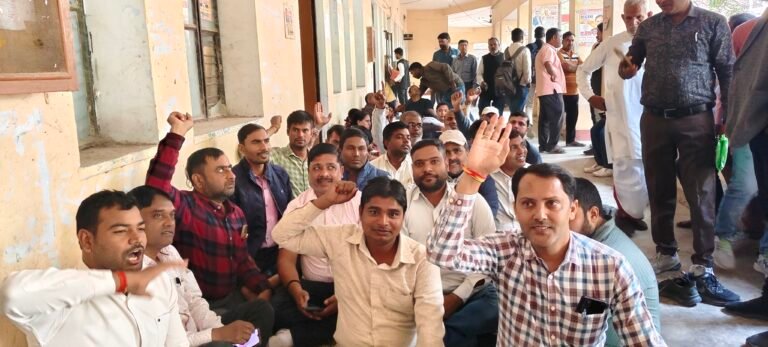 लेखपाल संघ ने मांगों के समर्थन में एडीएम को सौपा पत्रक