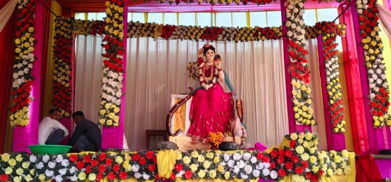 वीणावादनी मां की स्थापना पर भंडारा और देवी जागरण का आयोजन