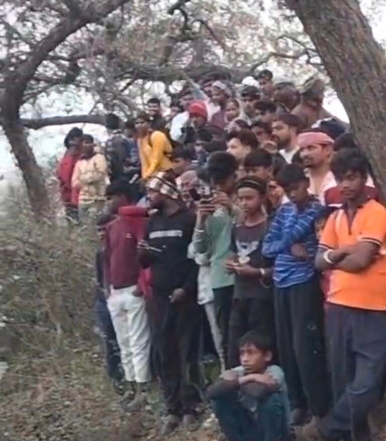 पेड़ में लटकते अजगर को देखने के लिये उमड़ी भीड,दहशत