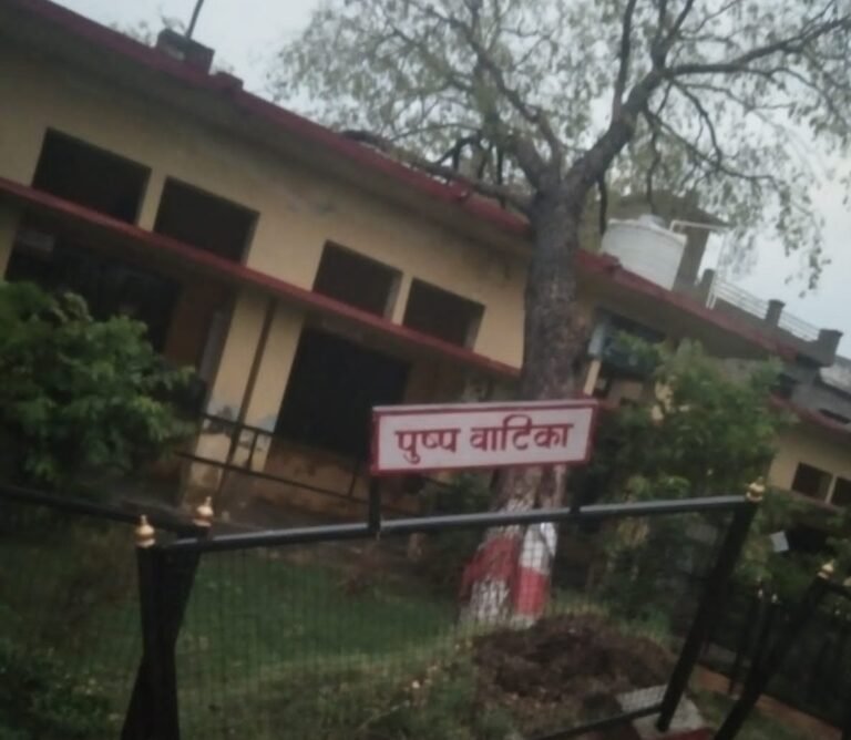 विशाल पेड़ गिरने से विश्वविद्यालय का छत छतिग्रस्त, छती