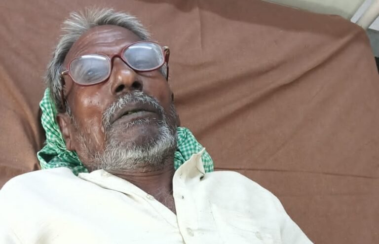 घास साफ करते समय सर्पदंश से बुजुर्ग अचेत, उपचार के बाद हालत में सुधार