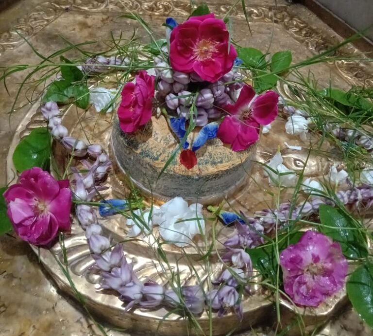 धारी-धारी स्वयंभू कालेश्वरनाथ के शिवलिंग पर भक्तों ने टेका मत्था