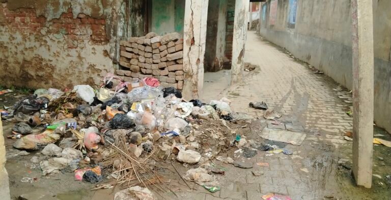 सकलडीहा कस्बे में गंदगी का अंबार, सफाई कर्मी नदारद