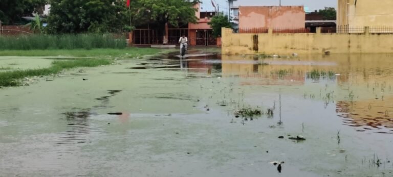 दो सप्ताह से पानी में डूबा सकलडीहा, जिम्मेदार बेखबर