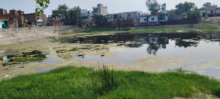सकलडीहा में सरोवर की साफ सफाई व पानी के अभाव में मूर्ति विसर्जन की समस्या